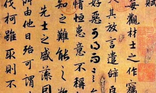 有什么中药可以降尿酸